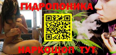 мяу мяу мука Малгобек