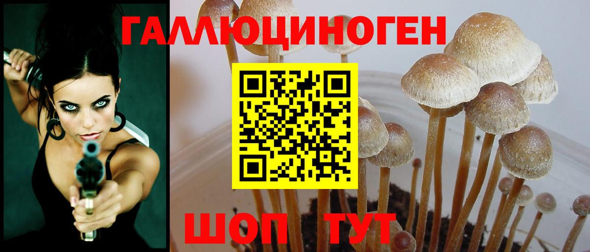 Галлюциногенные грибы Psilocybine cubensis  Псилоцибиновые грибы Magic Shrooms  наркота  Вход с VPN  Вольск 